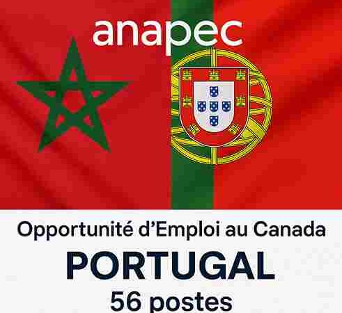 Concours ANAPEC International (PORTUGAL - Canada ) – Semaine en cours - alkhdma